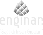 Enginar_Logo_Beyaz_2